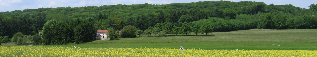 Berdorf panorama