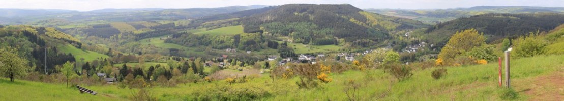 Mullenberg panorama