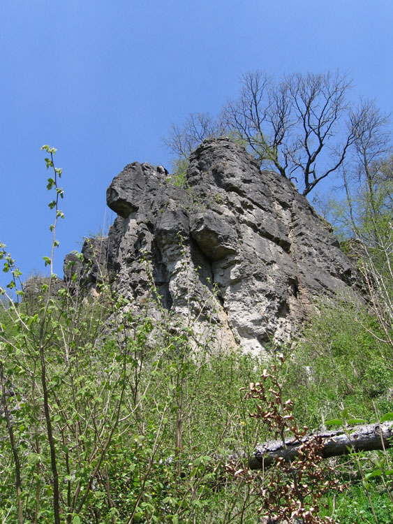 Geroldstein(66)