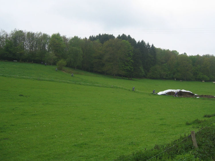 Numbrecht (20)