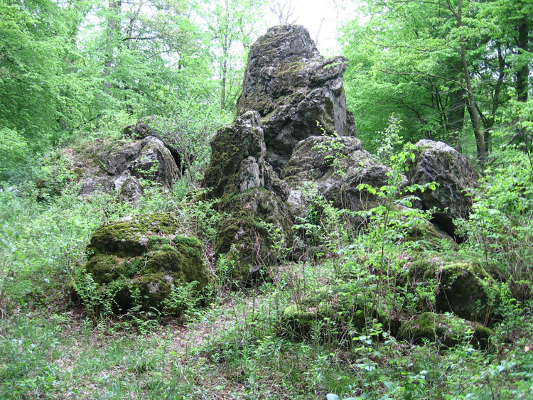 Numbrecht (45)