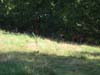TT 23-08-2009(19)