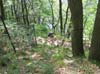 B_WE Einruhr (07)