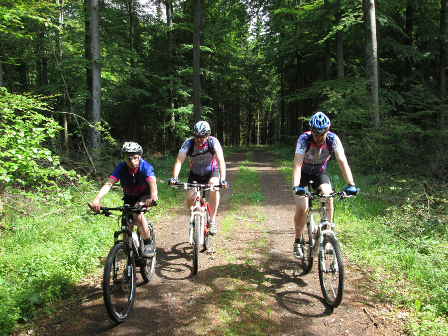 Fleringen 2014 (019)