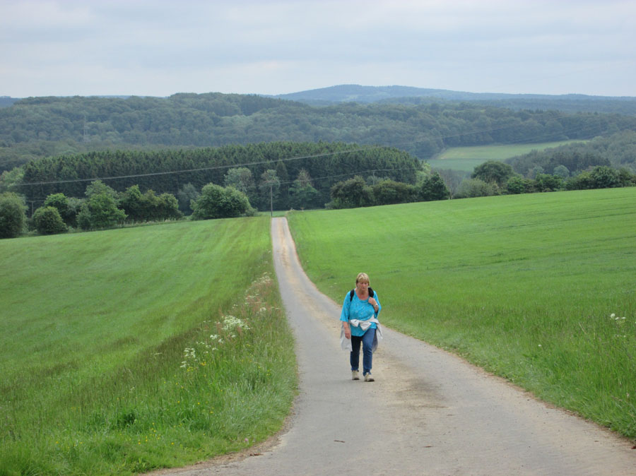 Fleringen 2014 (041)