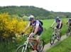 Fleringen 2014 (017)