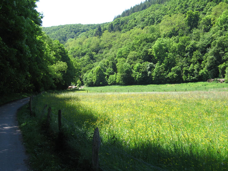 Vossenack(99105)
